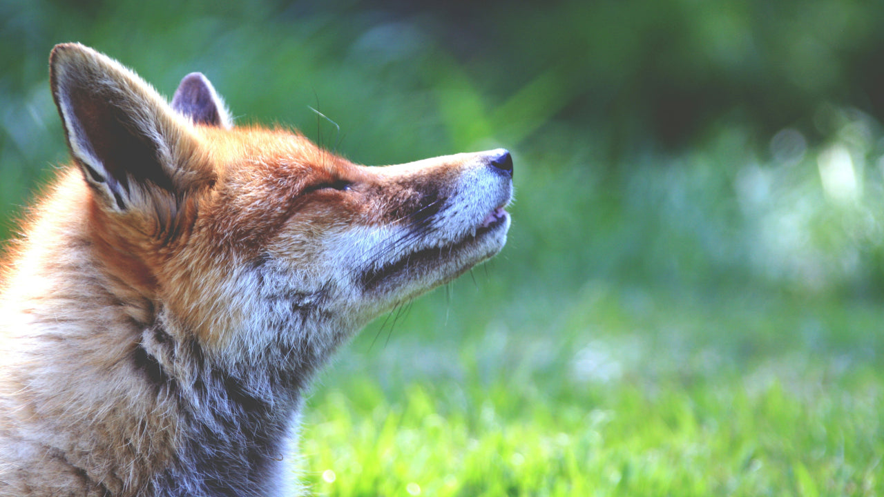 You Are Breathing Right Now – How Ventilation Protects Your Health Every Day